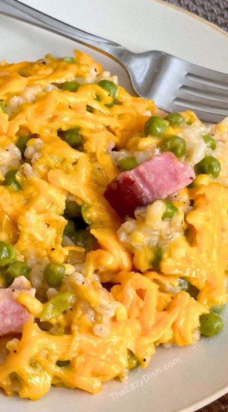 Do you have a family with kids to feed and you're tired of cooking dinner? Check out this easy rice casserole! It's loaded with cheddar cheese, ham, and the veggies of your choice. Quick, simple, and so yummy!