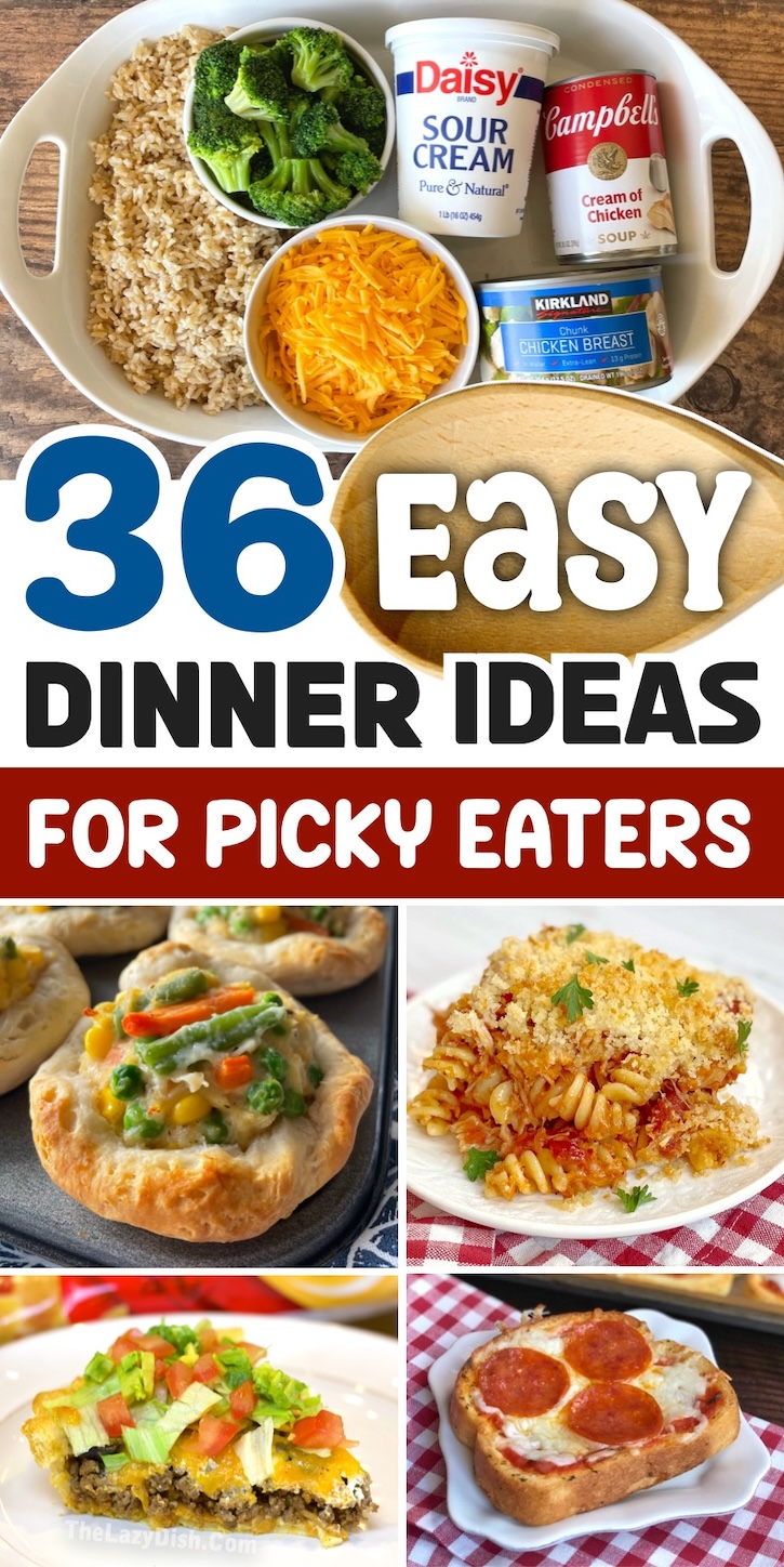 A list of easy dinner ideas for picky eaters of all ages! Toddlers, kids, teens and adults. Your entire family will love these fast and simple dinner recipes for tonight made with just a few ingredients. They are all perfect for busy moms and dads on a budget with finicky kids to feed. 