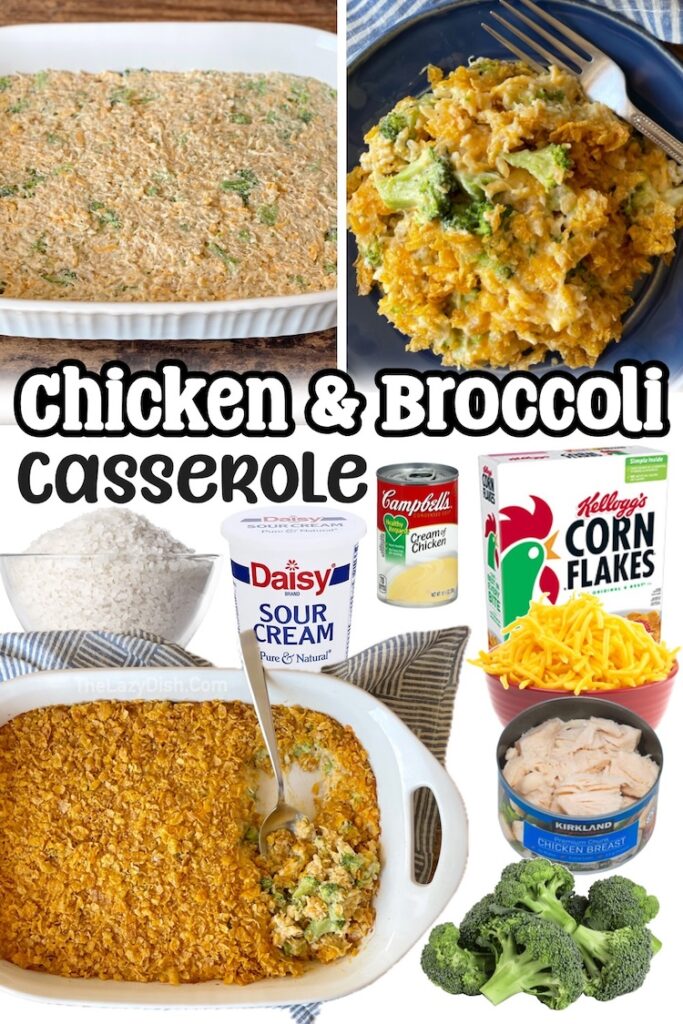 22 Lazy Dinner Recipes For Your Picky Family 22 Lazy Dinner Recipes For Your Picky Family
