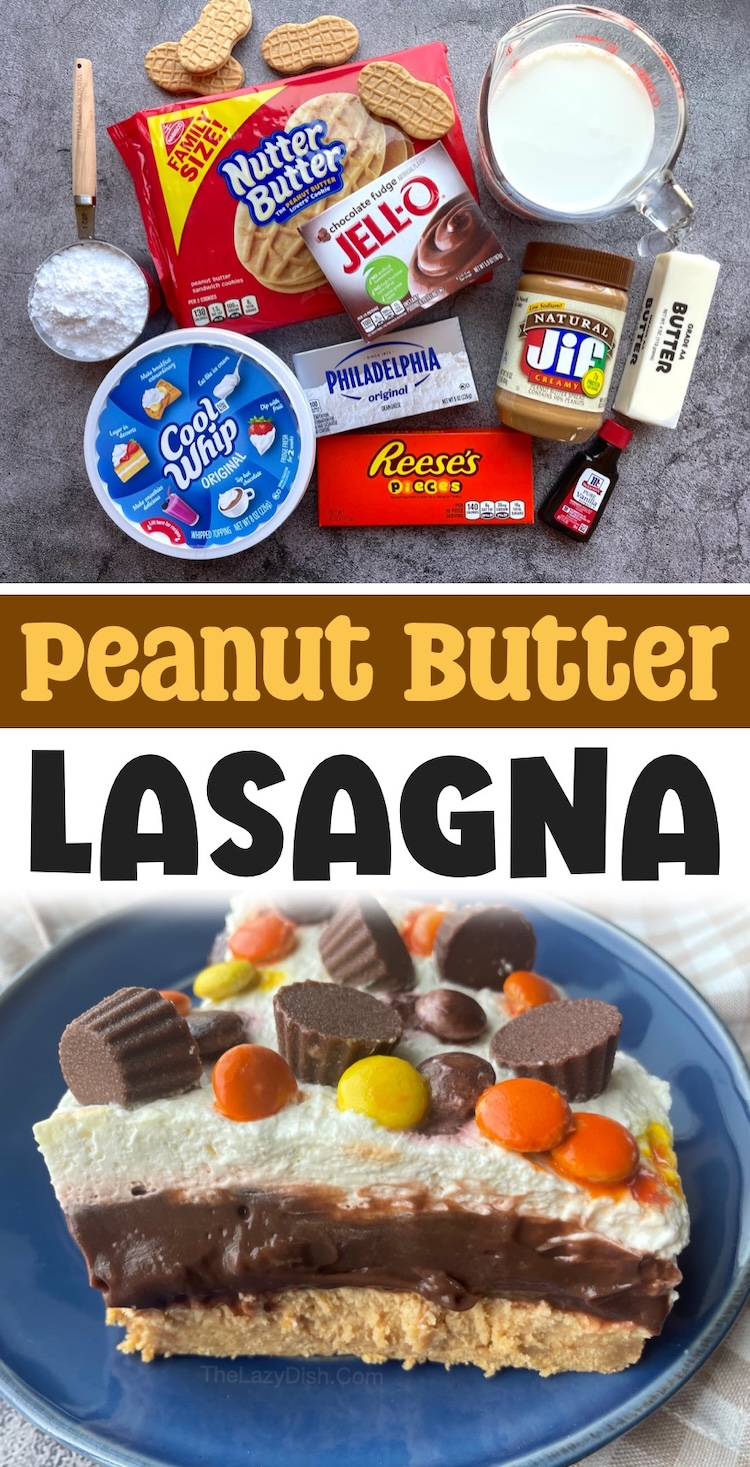 Cold Layered Chocolate Peanut Butter Dessert | This easy recipe is awesome! The most delicious peanut butter dessert in the world. Layered with a Nutter Butter cookie crust and topped with pb cheesecake, chocolate pudding, and whipped cream. The best crowd pleasing dessert for parties. 