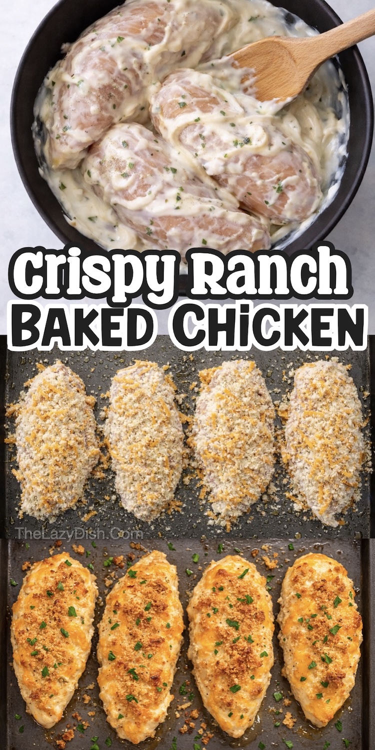 Number Thirteen on the List of Easy Baked Chicken Breast Recipes | Crispy Ranch Chicken is a tasty yet easy way to bake chicken in the oven with everyone's favorite seasoning- Ranch! It's a versatile protein that pairs well with any of your favorite dinner sides including veggies, rice, pasta, or potatoes. 