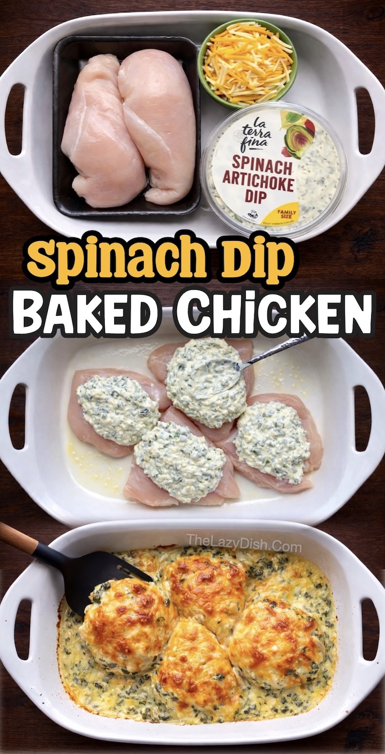 Number Nine on the List of Easy Baked Chicken Breast Recipes | Lazy Spinach Artichoke Dip Chicken is a 3 ingredient recipe made with a simple store bought container of creamy dip and lots of melty cheese. Dump and bake for the easiest dinner you'll ever make. 